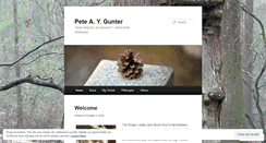 Desktop Screenshot of petegunter.net